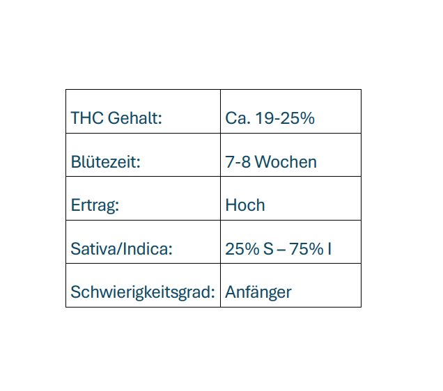 Gogurtz (Runtz Kreuzung)