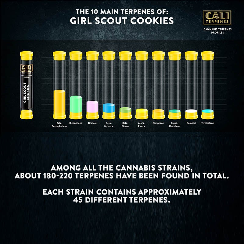 GIRL SCOUT COOKIES TERPENE