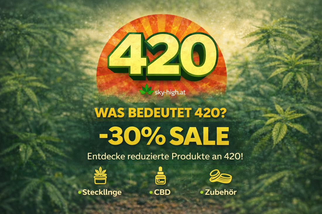 420 – Bedeutung, Herkunft & unsere 420 Angebote