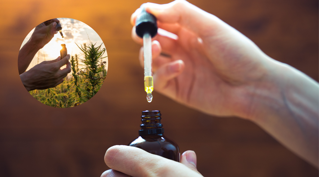 CBD Öl – Wirkung, Erfahrungen & worauf du beim Kauf achten solltest