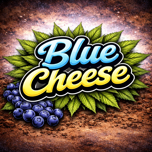 Blue Cheese Steckling