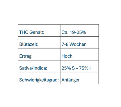 Gogurtz (Runtz Kreuzung)