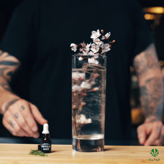 Critical Highball Jack