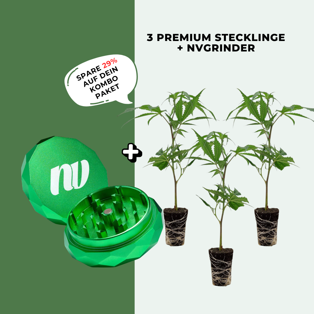 3 Stecklinge + Pyramidenmühle - 2-teilig - Ø63mm