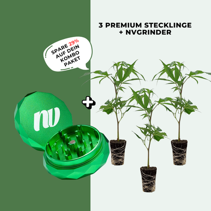 3 Stecklinge + Pyramidenmühle - 2-teilig - Ø63mm