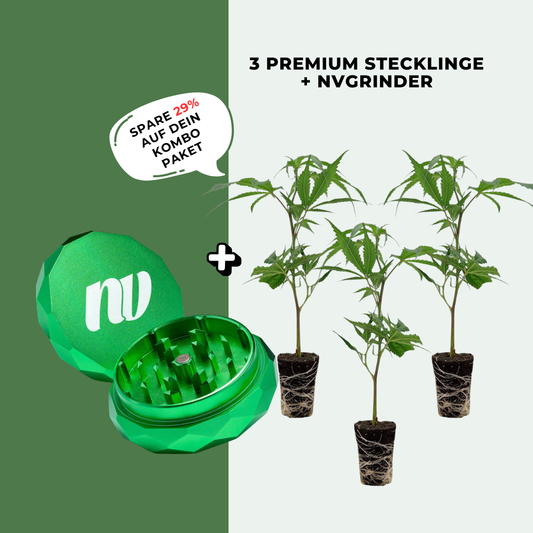 3 Stecklinge + Pyramidenmühle - 2-teilig - Ø63mm