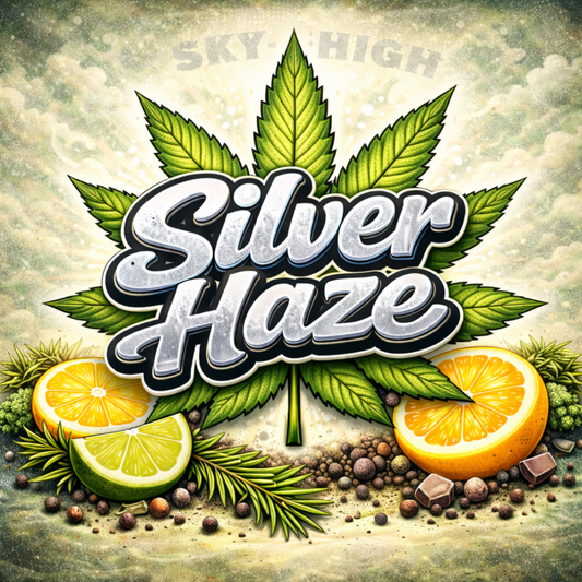 Super Silver Haze Steckling