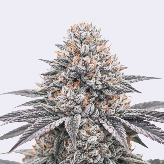 Wedding Cake Steckling