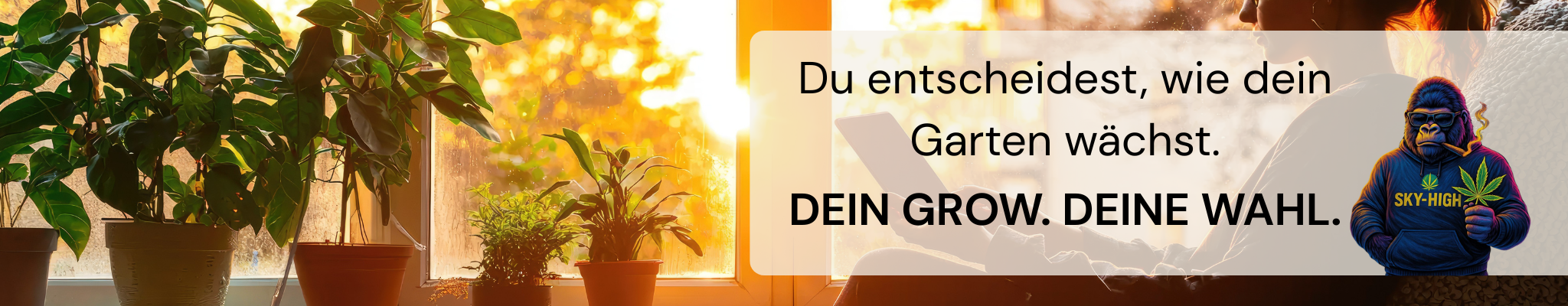 Desktop Bild