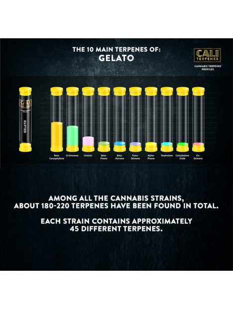 GELATO TERPENE