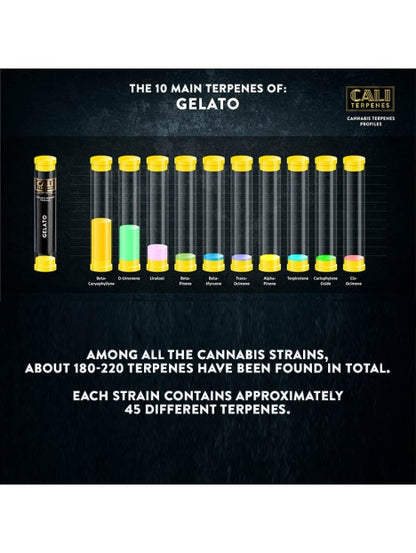 GELATO TERPENE