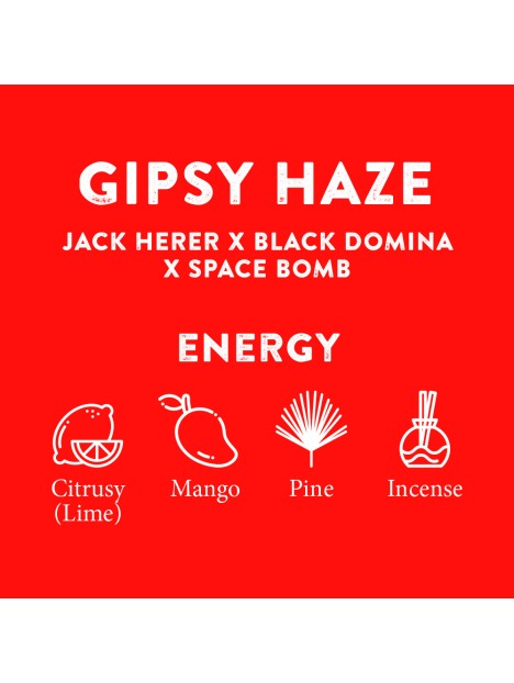 GIPSY HAZE TERPENE