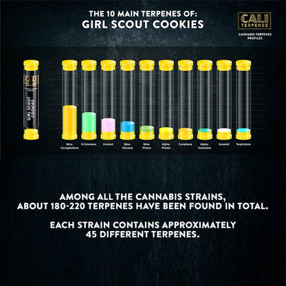 GIRL SCOUT COOKIES TERPENE