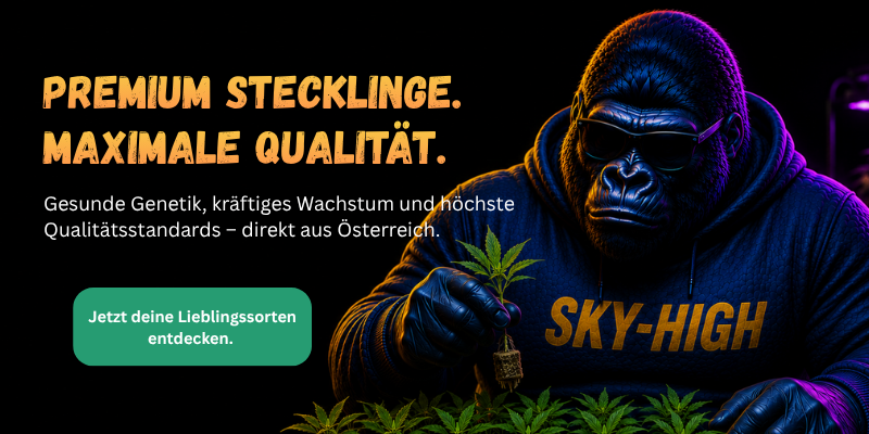 Mobiles Bild