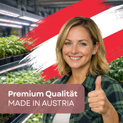 White Russian Steckling