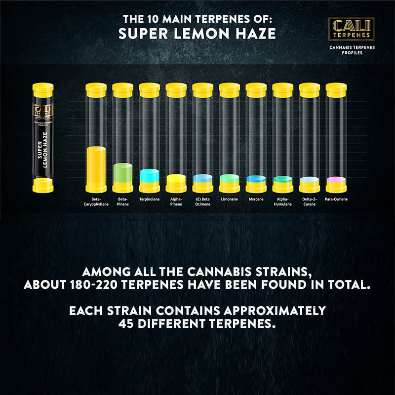SUPER LEMON HAZE TERPENES