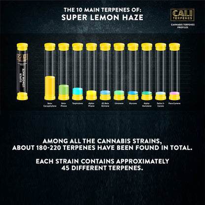 SUPER LEMON HAZE TERPENES