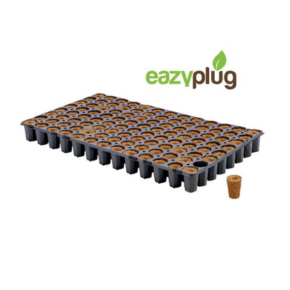 Eazy Gardening Eazy Plug® Stecklingstray 104C Rund Groß