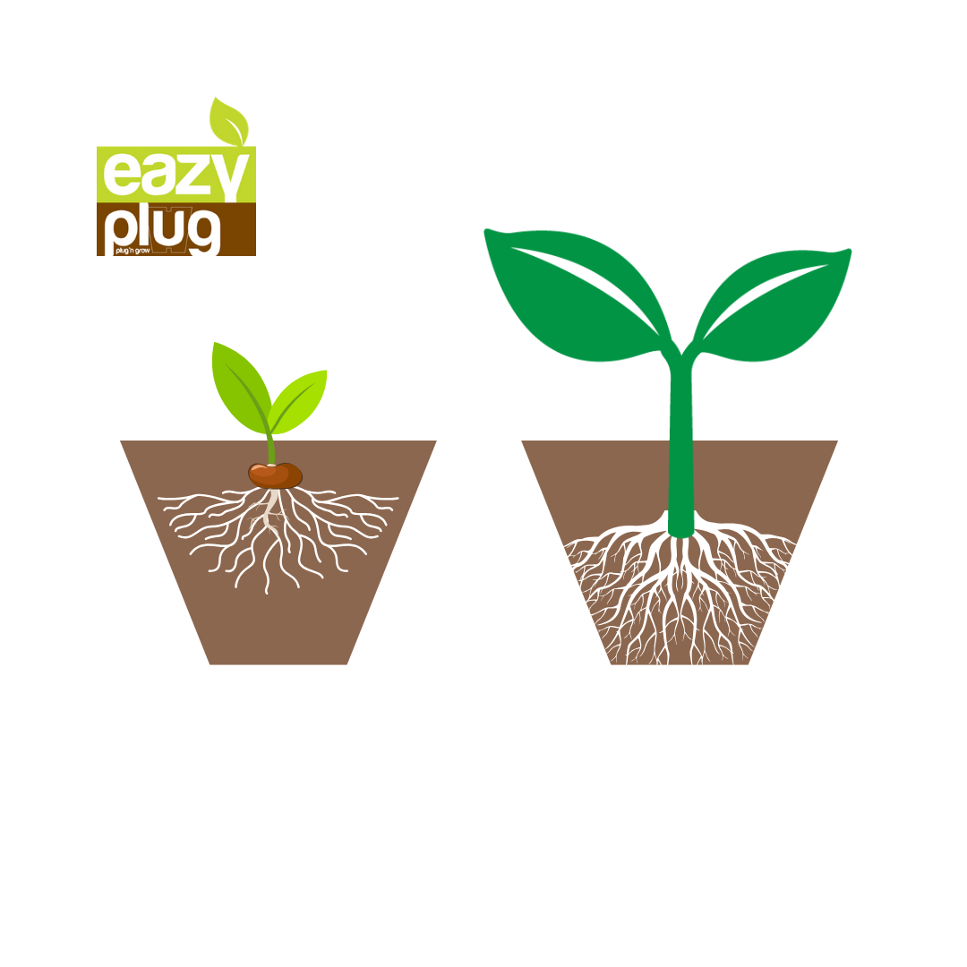 Eazy Gardening Eazy Plug® Stecklingstray 104C Rund Groß