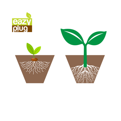 Eazy Gardening Eazy Plug® Stecklingstray 104C Rund Groß